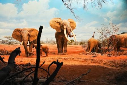 Strengthening the African Continent