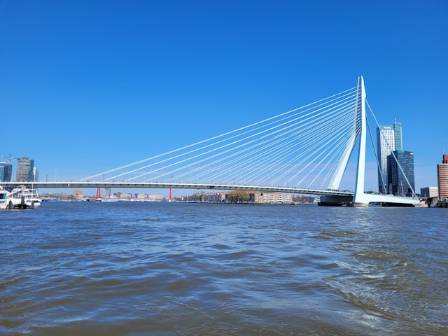 The Most Beautiful Connection: Erasmus Bridge