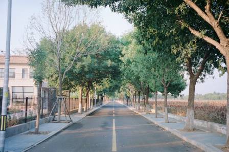 5 Key Types of Urban Roads You Should Know