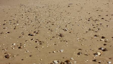 7 Exciting Finds When Collecting Rocks on Ocean Beaches