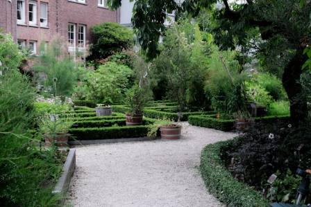 8 Best Plants to Transform Your Courtyard Garden into a Green Oasis