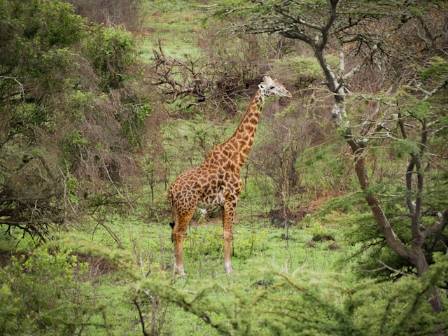 4 Unforgettable Bucket List Adventures to Experience Around the Globe