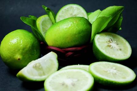 Unveiling the Chronicles of Vitamin C Deficiency and Scurvy